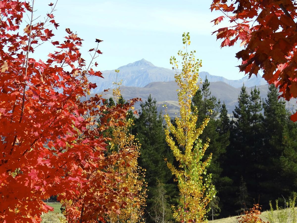 Apartament Mitchella Farm Wanaka Zewnętrze zdjęcie
