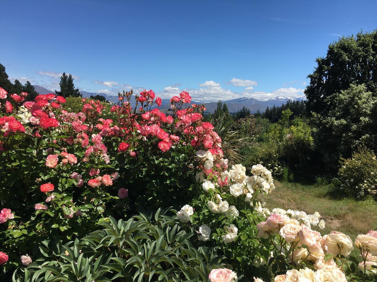 Apartament Mitchella Farm Wanaka Zewnętrze zdjęcie